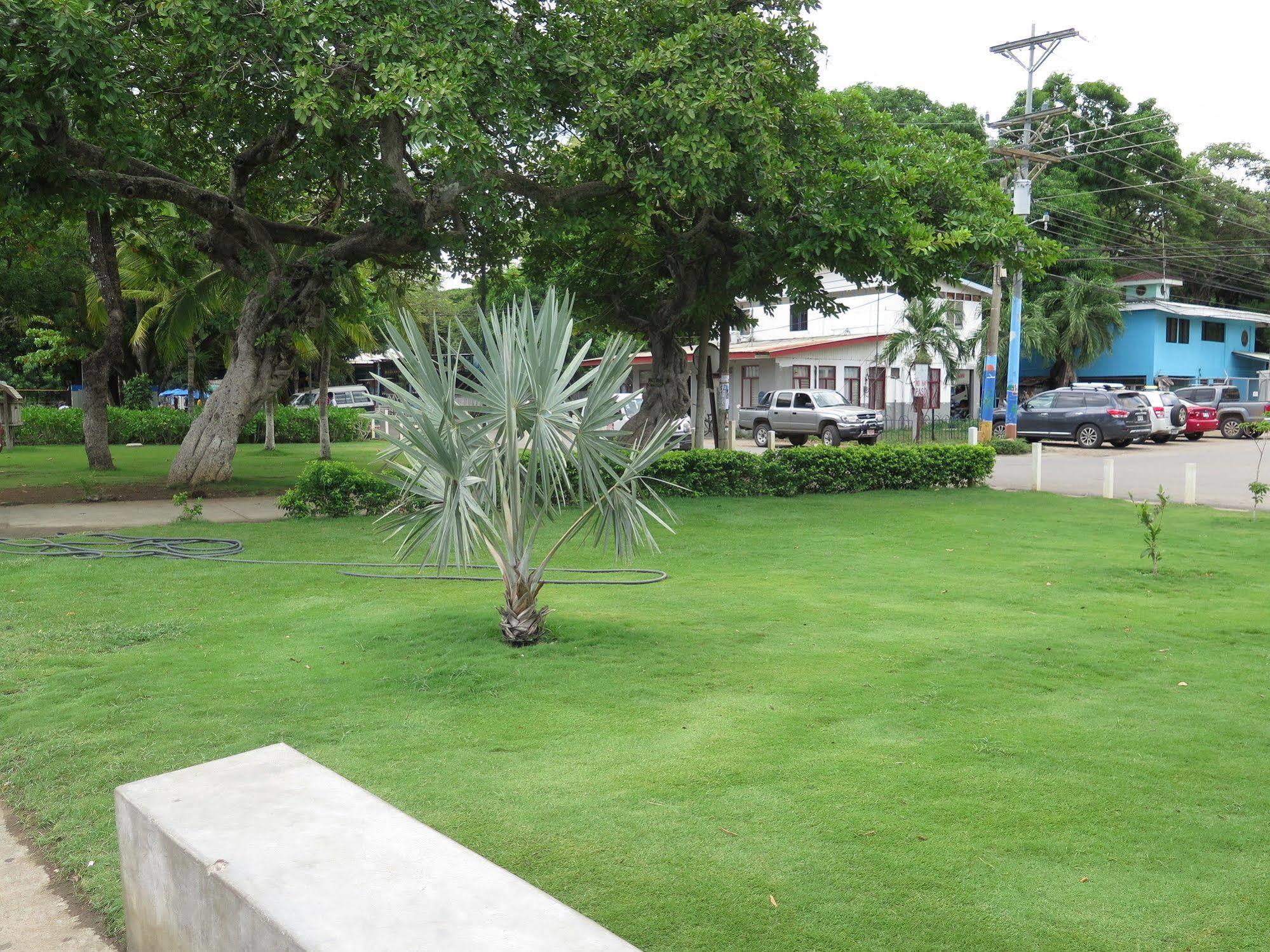 Hotel Savannah Playas del Coco 외부 사진